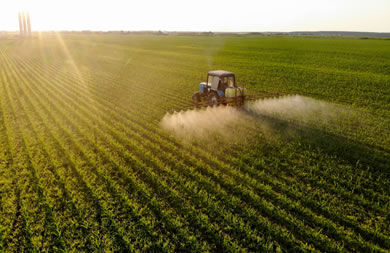 Agroindústria Agroindústria