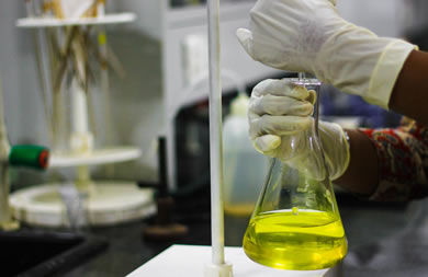 Biodiesel Biodiesel