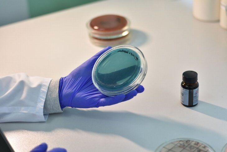 Laboratório de microbiologia: como operar com segurança, rastreabilidade e resultados confiáveis